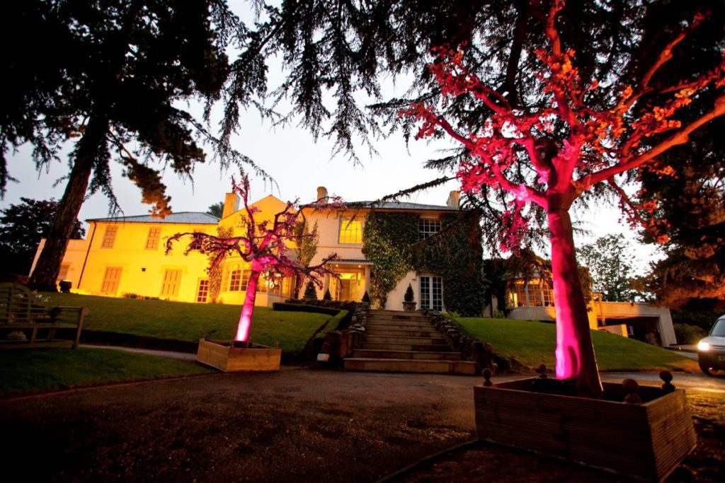 Midsummer Nights Dream private party artificial trees light up lighting