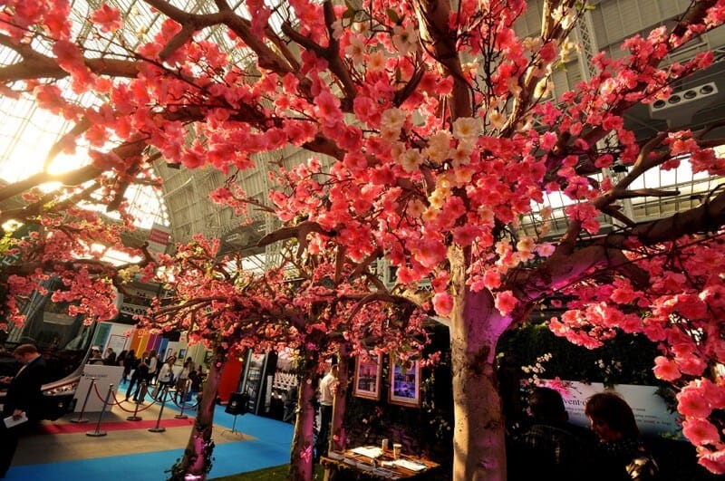 Blossom Tree Hire for Events - Eventologists