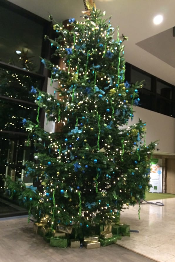Giant-Christmas-Tree01