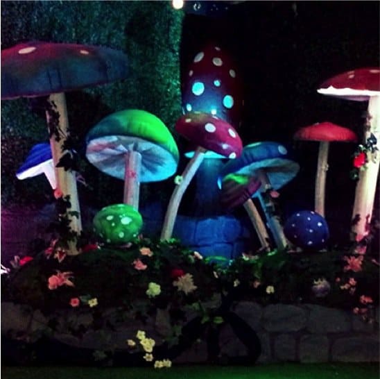 Alice in Wonderland Theme Parties and Props