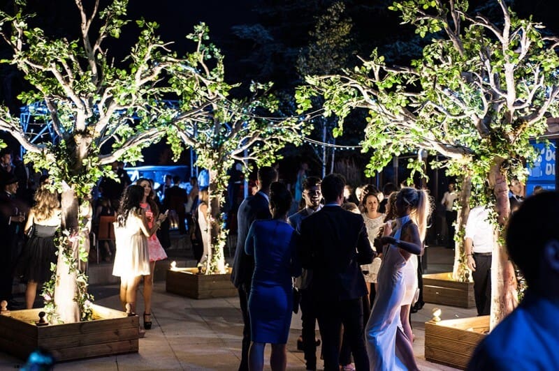 trees-for-events-800x532