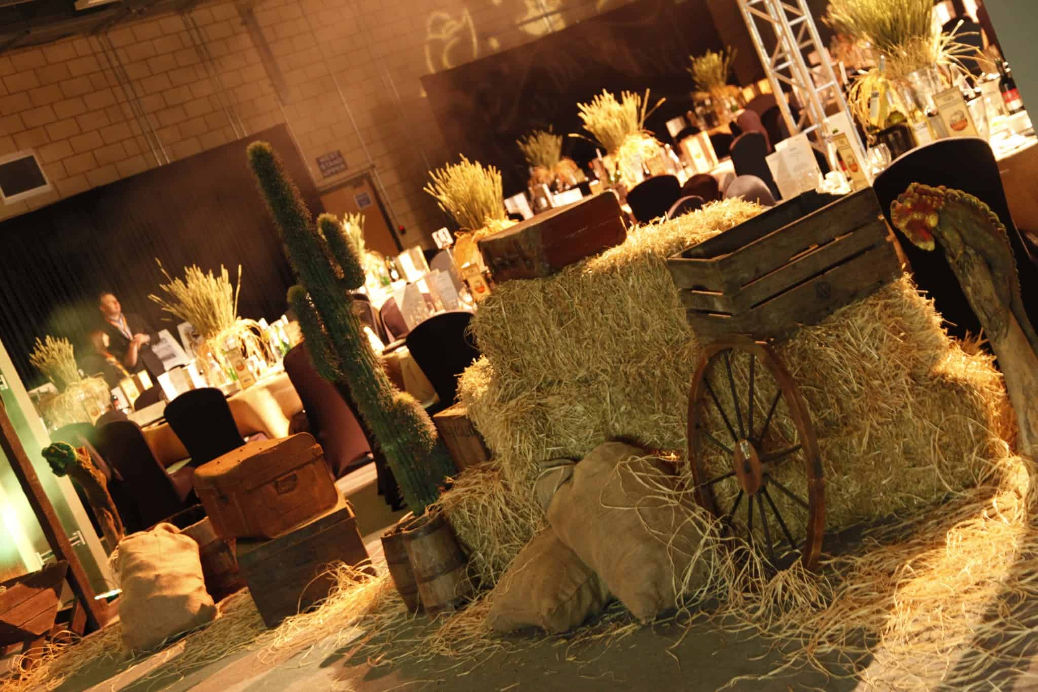 wild wild west theme party