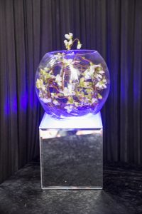 cherry blossom fish bowl light up mirror box base table centres