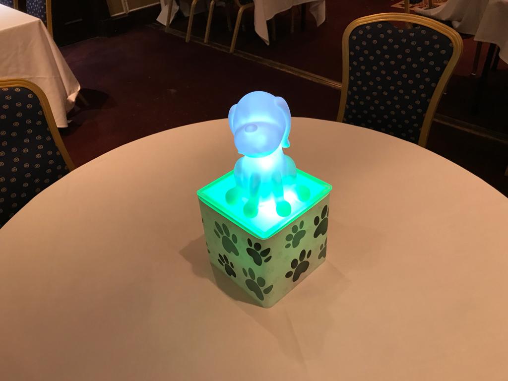 Light Up Dog Table Centres