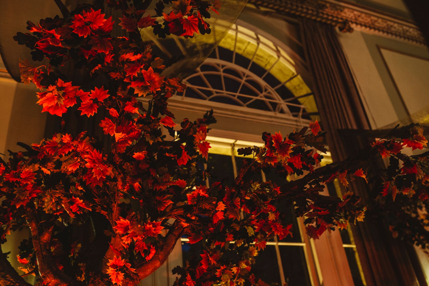 Red Autumn Themed Tree with Maple Leaves for Event Hire