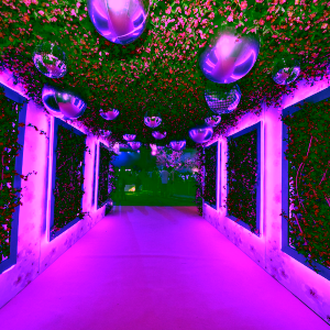 Hot Pink Entrance Hall With Disco Balls