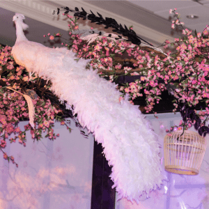 Pink Flower Arch With White Bird