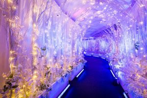 Eventologists Christmas Led Twinkle Twig Winter Tunnel Entrance
