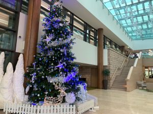 Eventologists Christmas Tree Hire Blue Purple Christmas Decortations