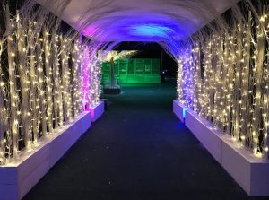 Eventologists Chritmas Led Twinkle Twig Tunnel Hire