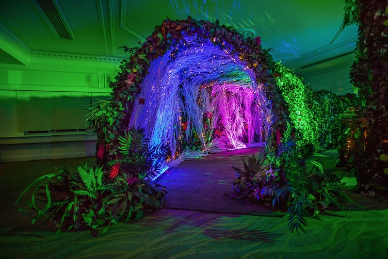 Eventologists Enchanted Forest Themed Event Lightup Foliage Entrance Tunnel Hire