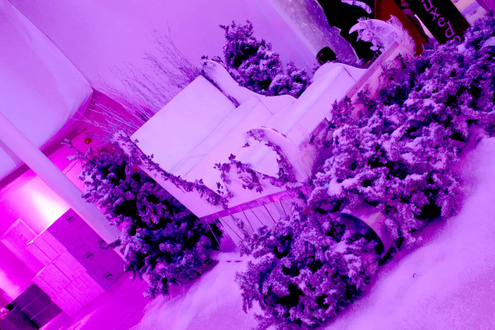 Eventologists Narnia Themed Winter Event Sleigh Snow Hire