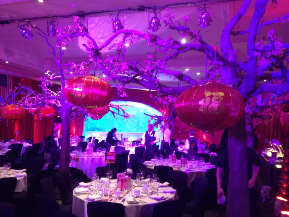 Eventologists Oriental Themed Event Chinese Blossom Trees With Lanterns Hire