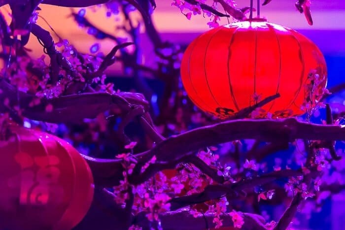 Eventologists Oriental Themed Event Chinese Lanterns Prop Hire