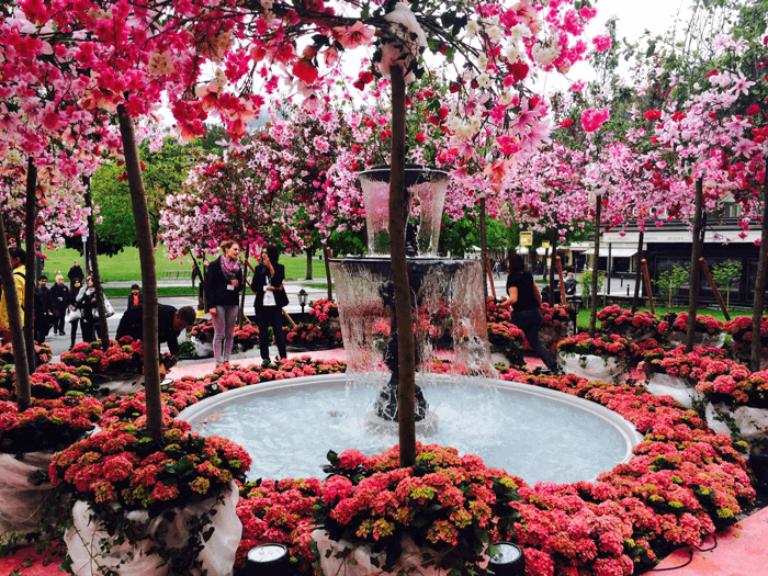 Eventologists Secret Garden Themed Event Cherry Blossom Installation