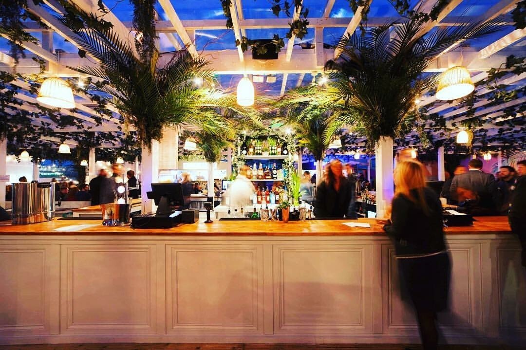 Eventologists Tropical Beach Themed Event Bar Dressing Faux Tree Hire