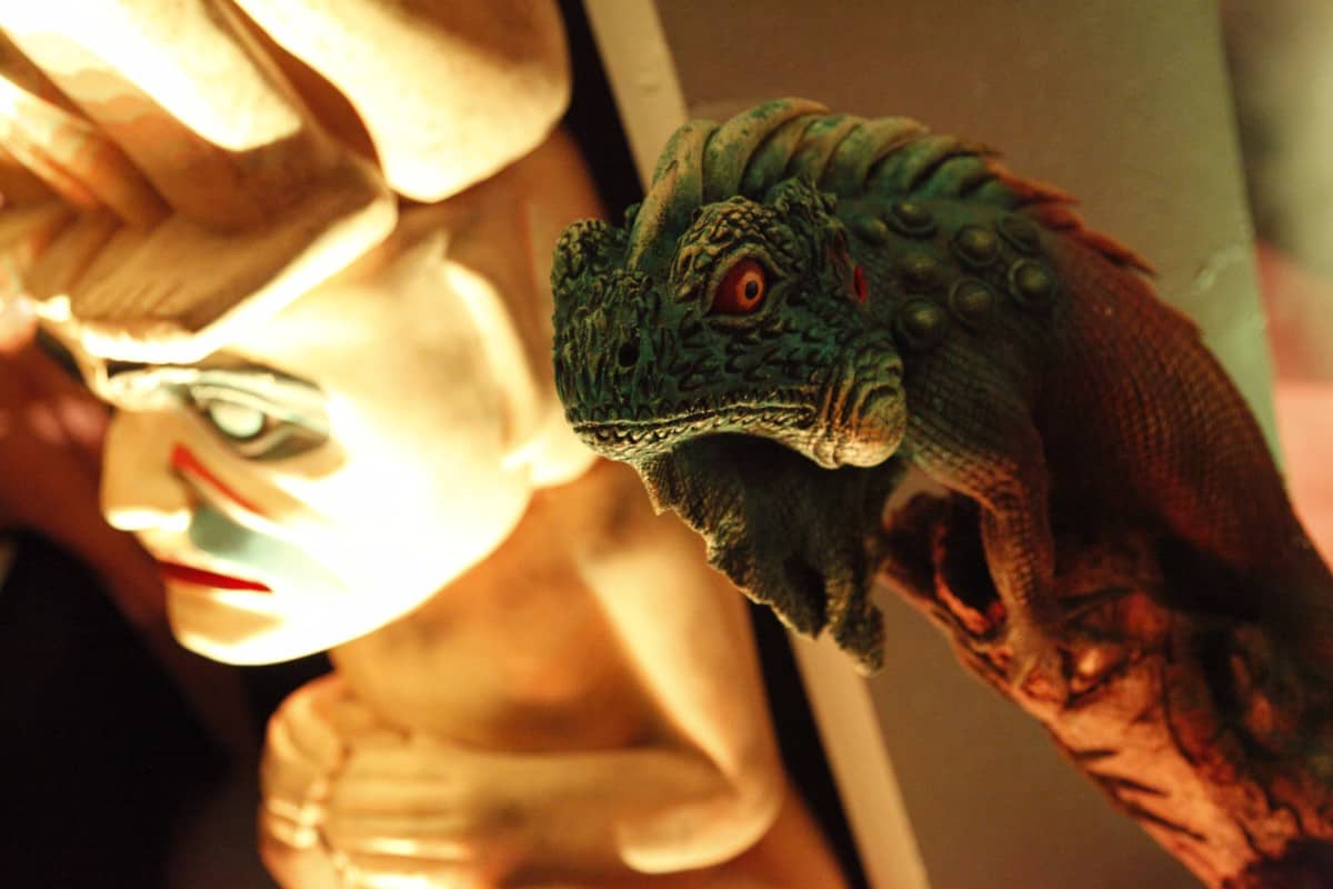 Eventologists Wild West Themed Event Iguana Prop Hire