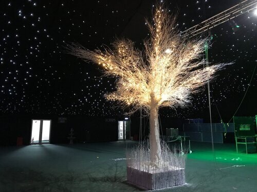 Eventologists Winter Wonderland Themed Event Twinkle Twig Tree Hire