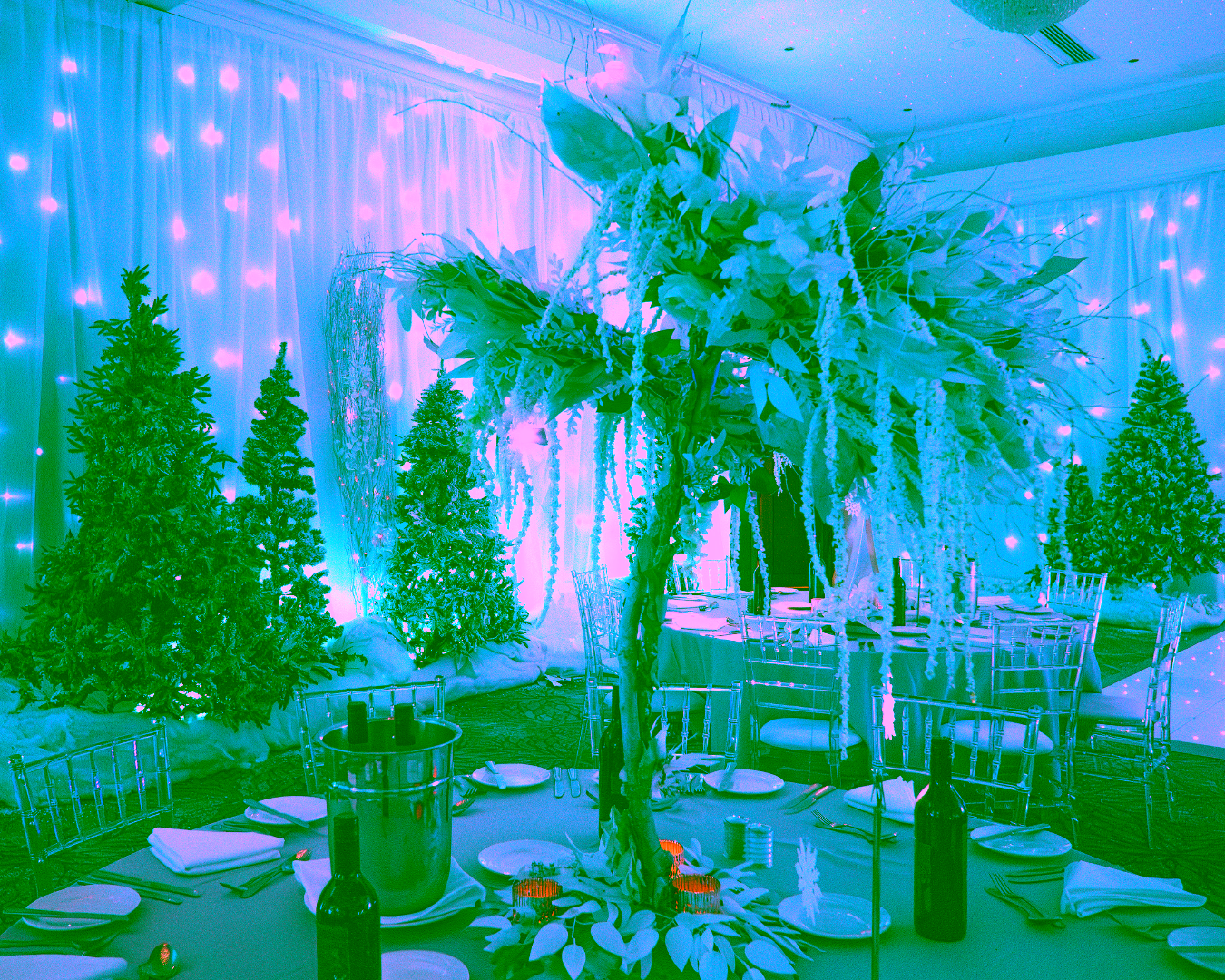 Entologists Winter Wonderland (2)