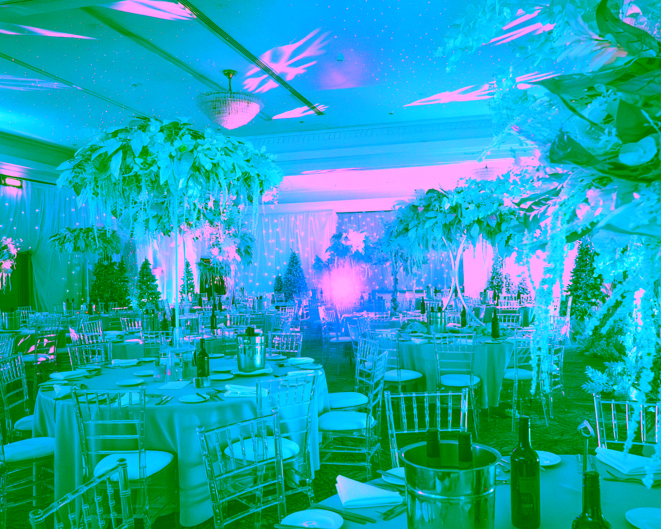 Entologists Winter Wonderland (4)