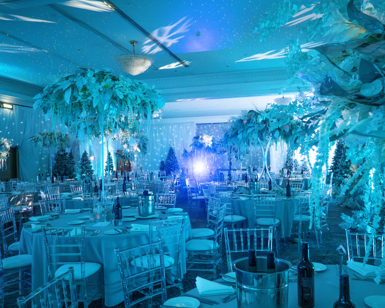 Entologists Winter Wonderland (4)