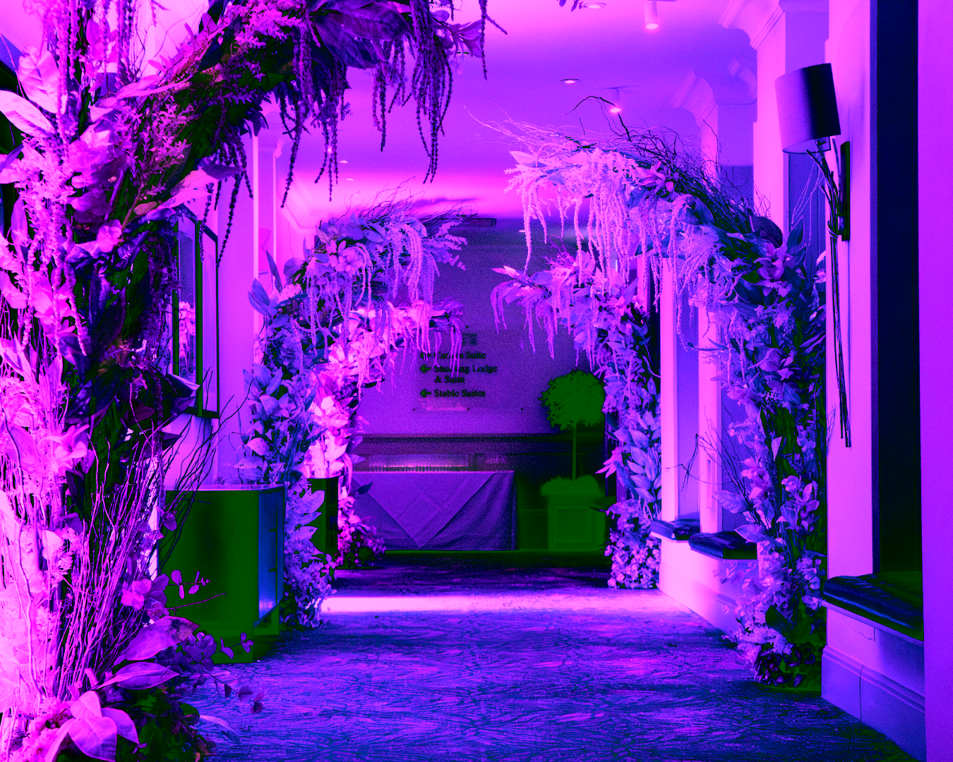 Entologists Winter Wonderland (5)