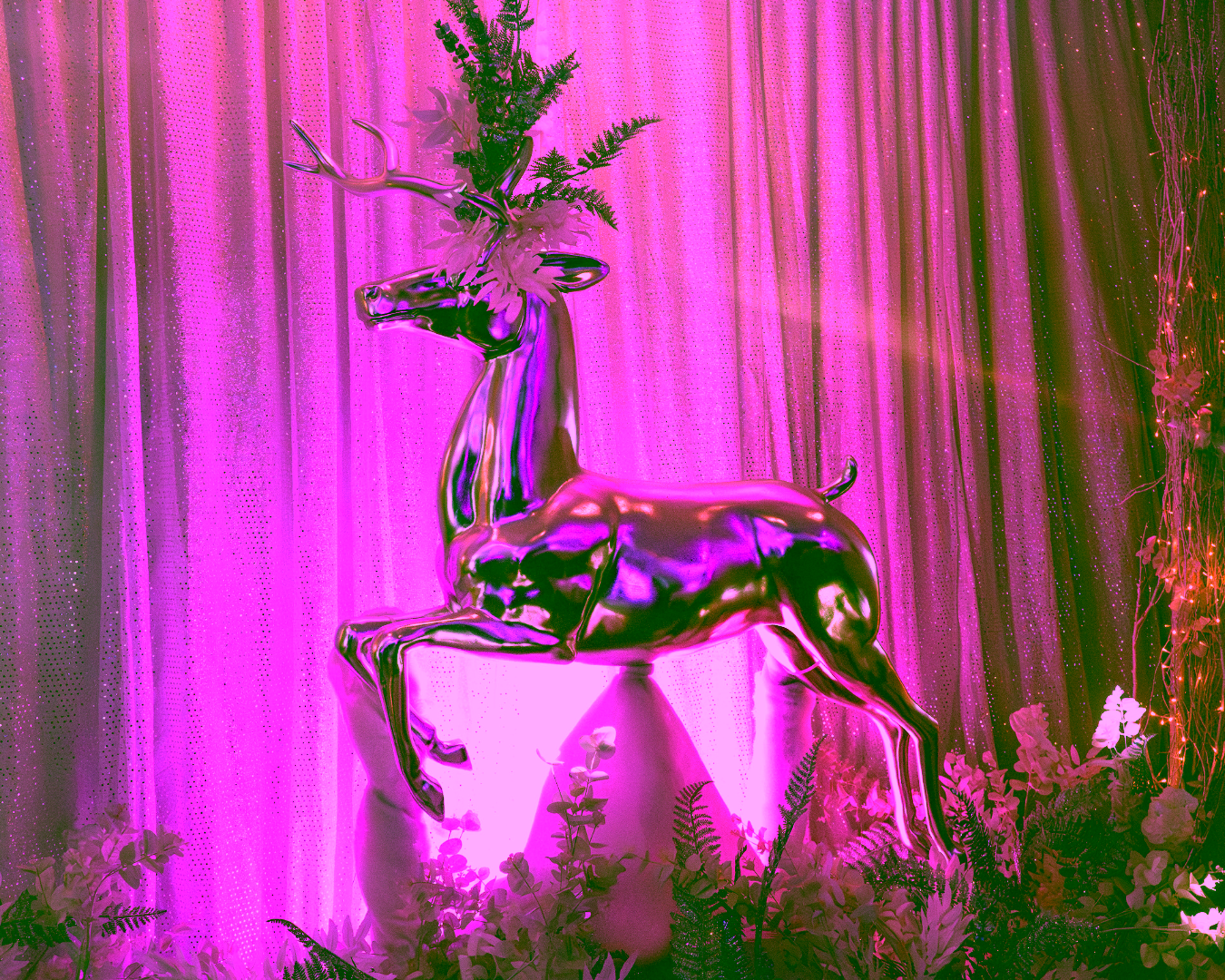 Entologists Winter Wonderland (8)
