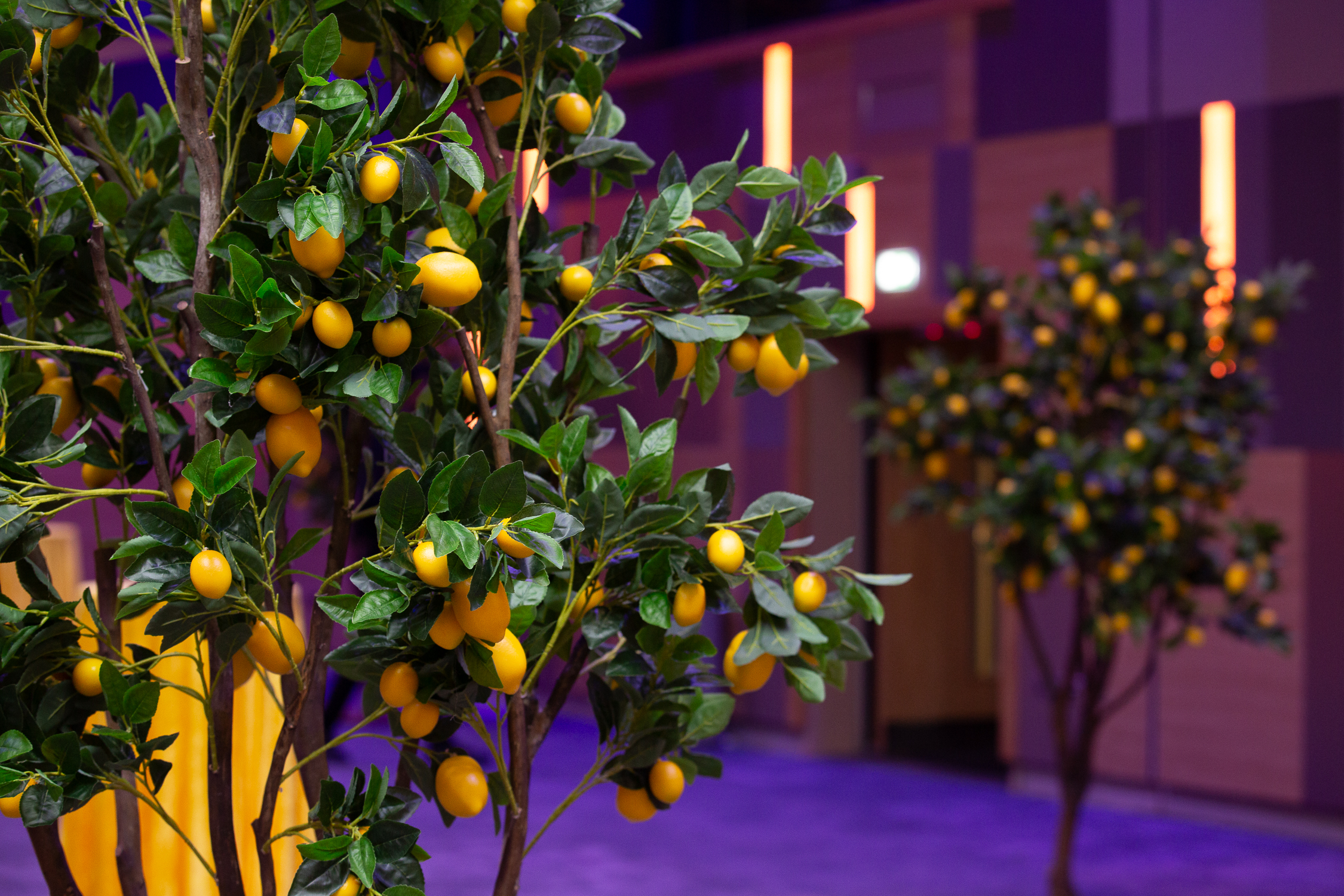 Eventologists Lemon Tree Installation