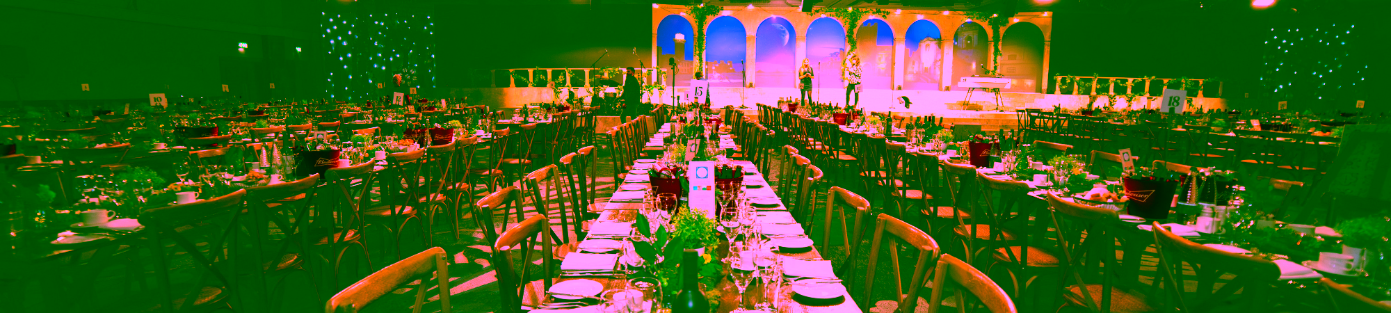 Eventologists Fundraising Charity Gala