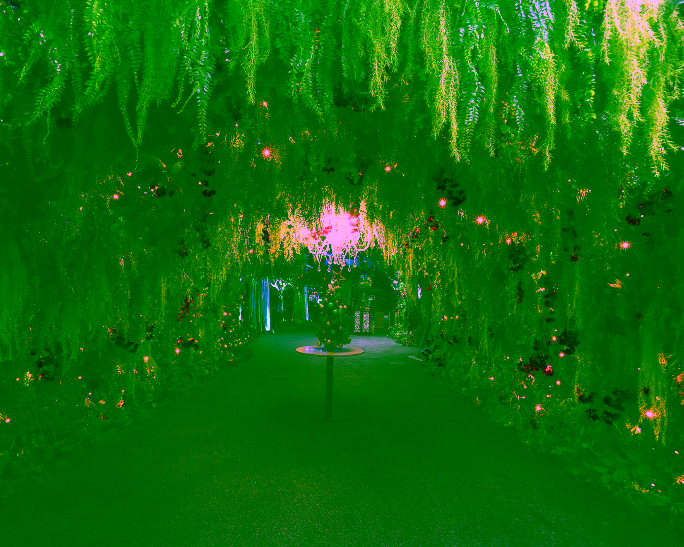 Eventologists Enchanted Forest Event Theme