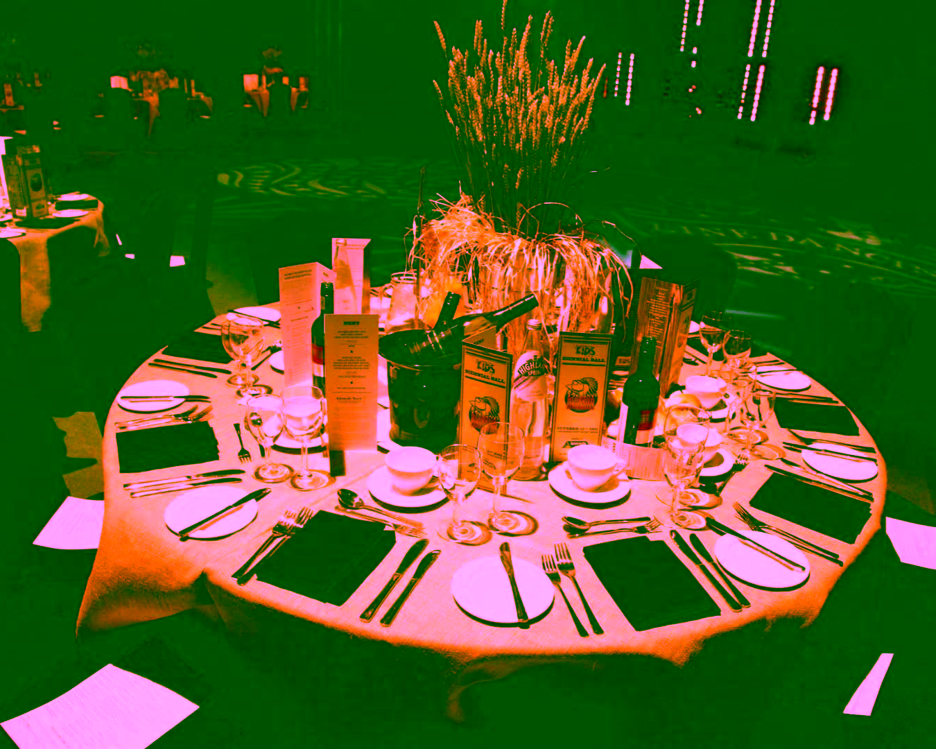 Eventologists Country Theme Decor Table Centre