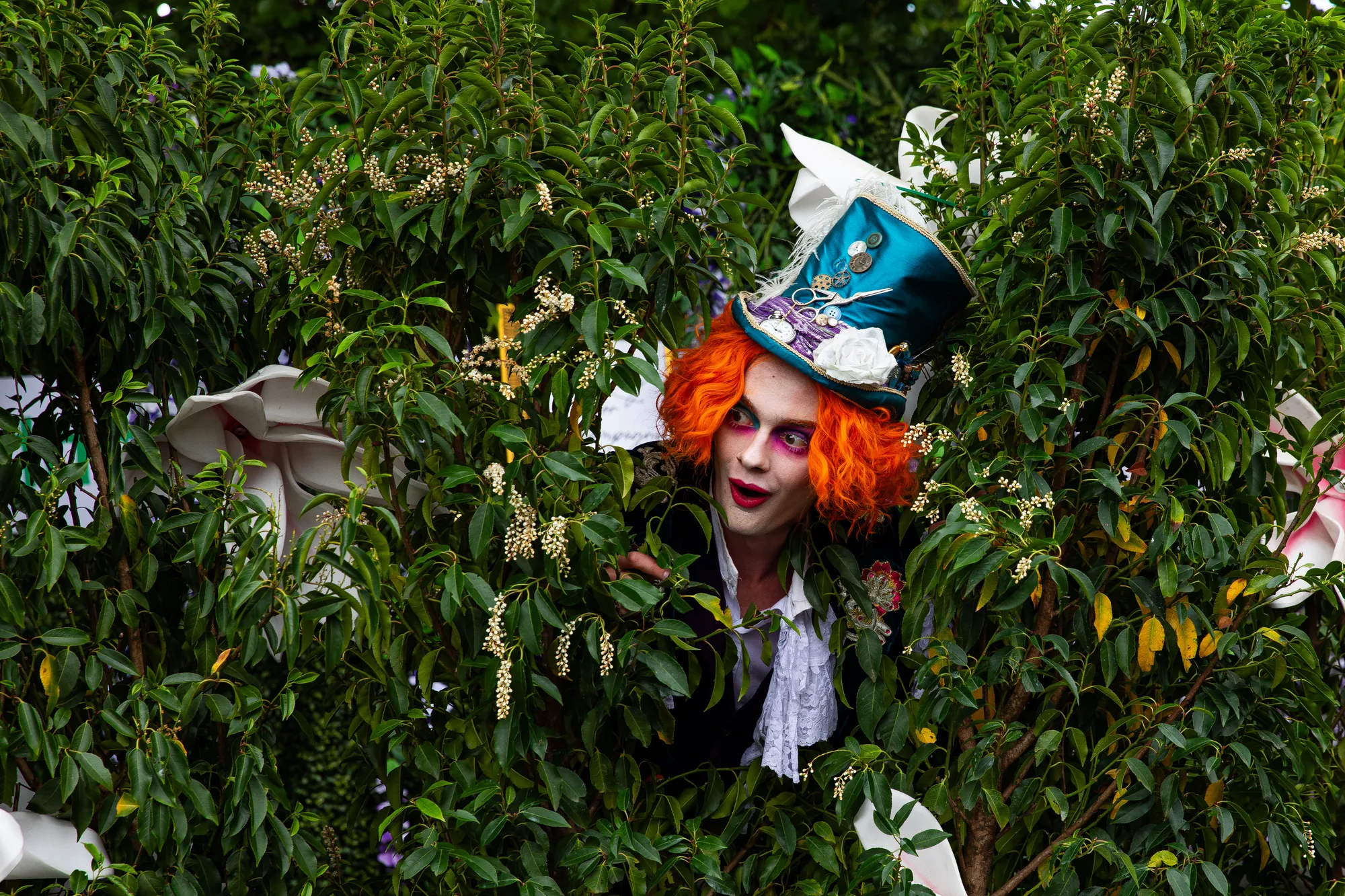 Mad Hatter Performer Peering Through a Hedge