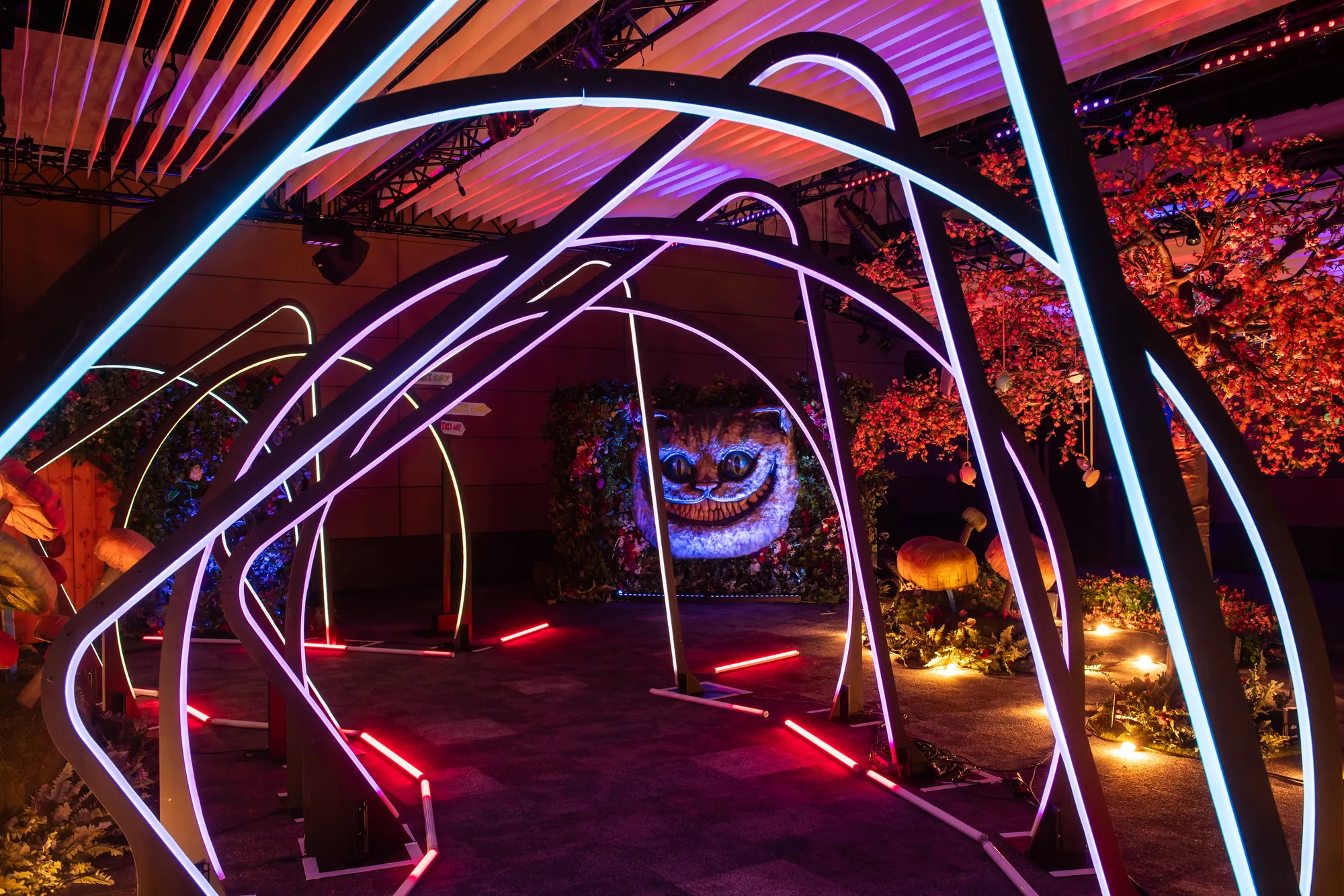 Neon Arch Tunnel Leading to the Cheshire Cat