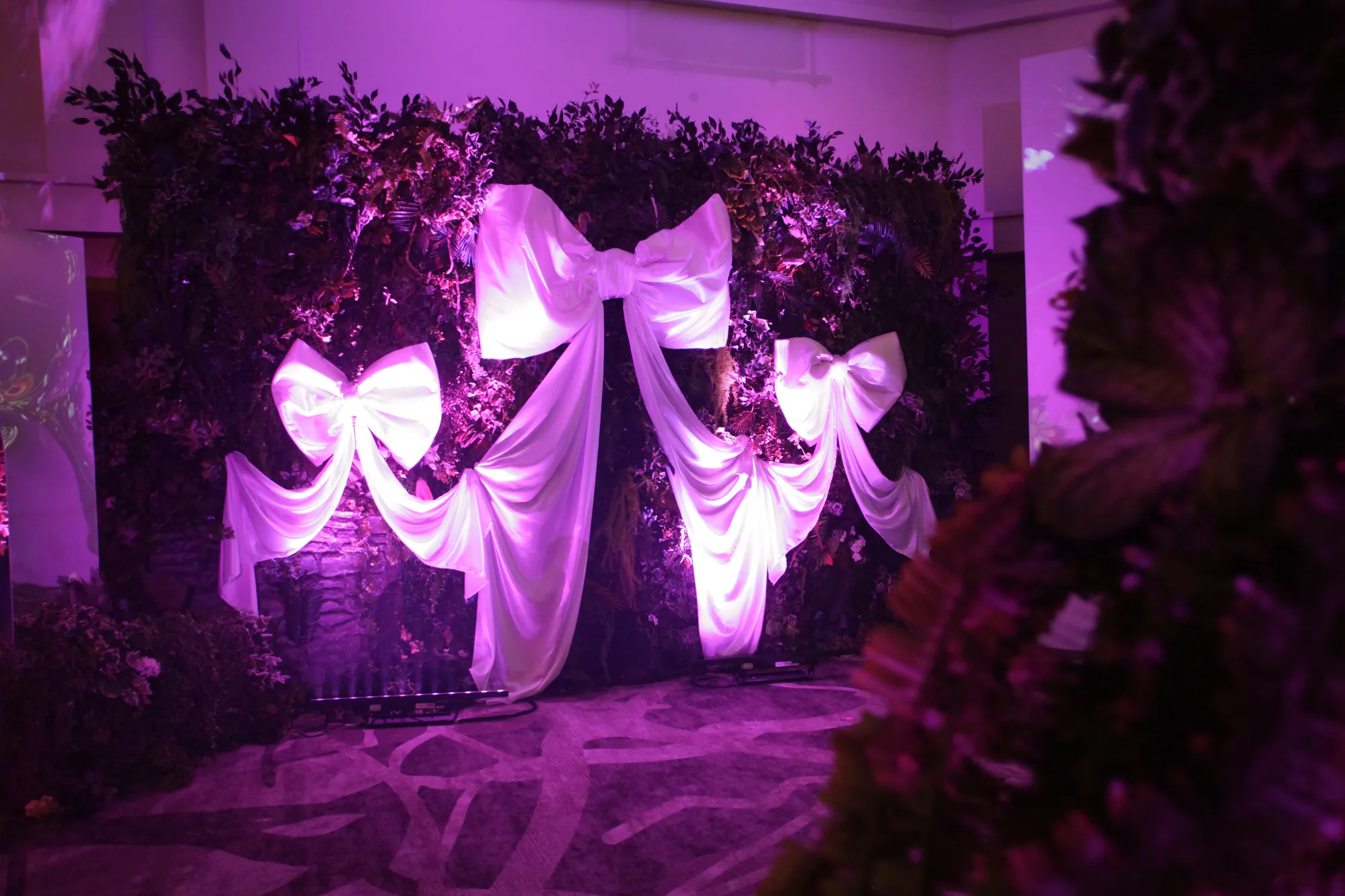 White Bow Drapes Over a Living Greenery Wall