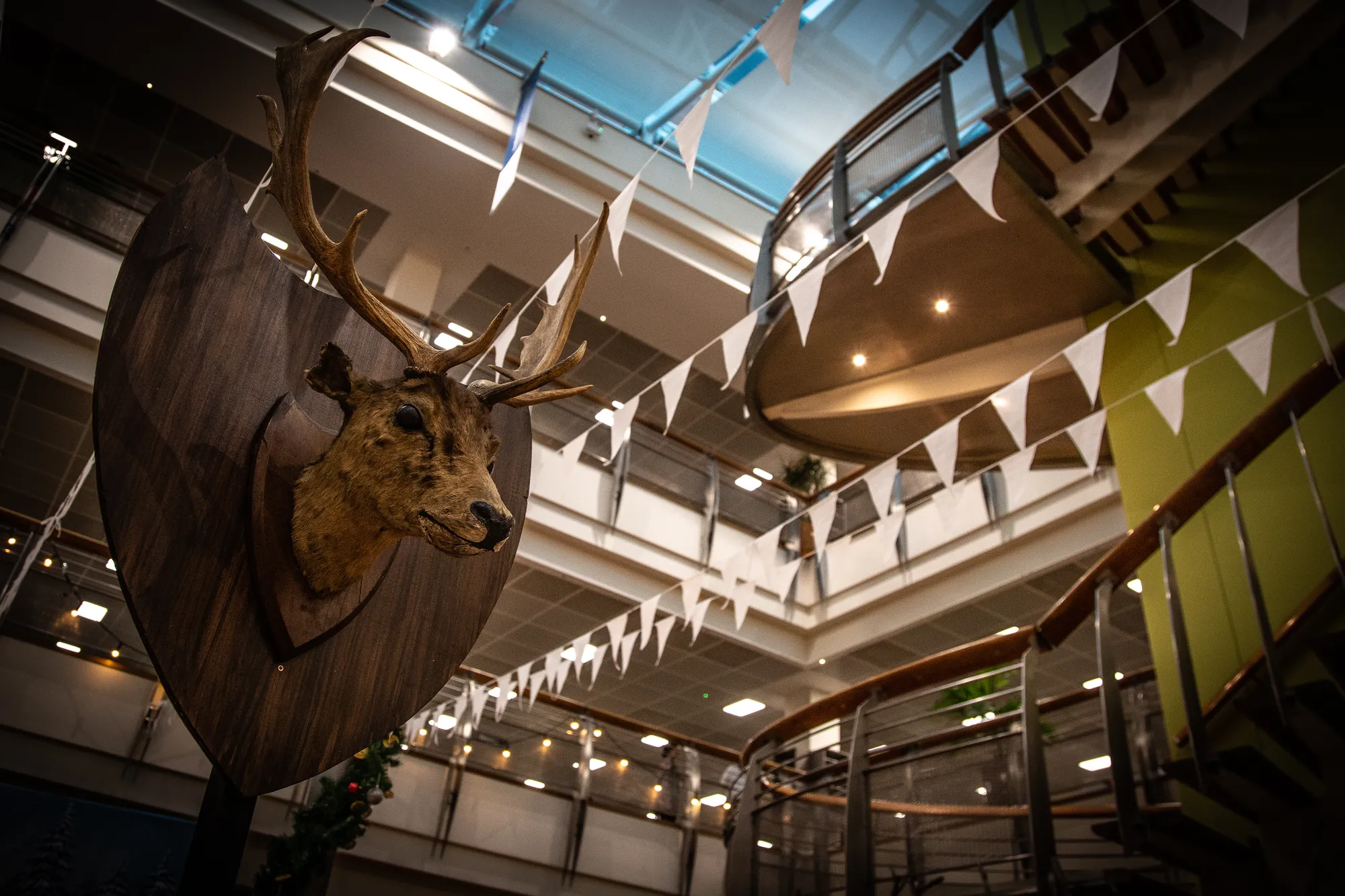 Stag Head Trophy Mount Beneath Triangle Bunting