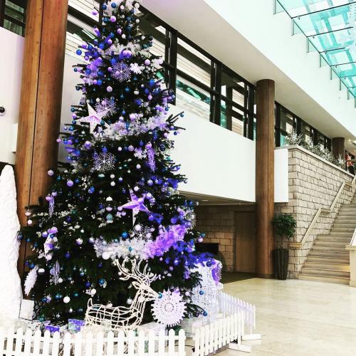 Eventologists-Christmas-Tree-Hire-Event-Styling-Purple (1)