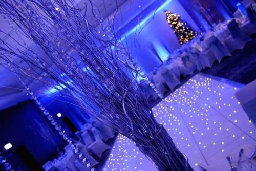 Eventologists-Private-Party-Planning-Winter-Party-Decorations-Service