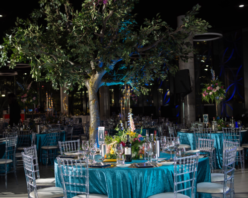eventologists-event-management-charity-events